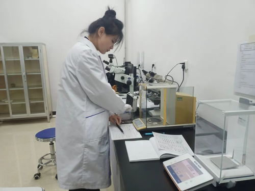 黑龍江省伊春市市場(chǎng)監(jiān)管局舉辦2023年世界計(jì)量日信息技術(shù)咨詢服務(wù)活動(dòng)